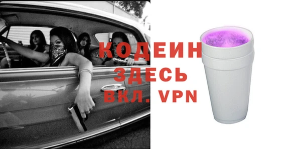 индика Верхний Тагил