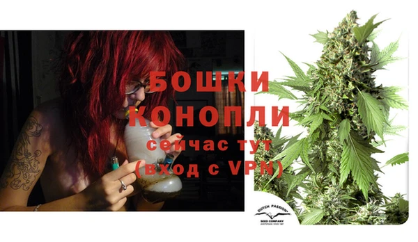 тгк Богданович