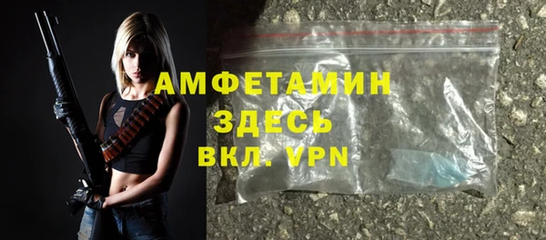 индика Верхний Тагил