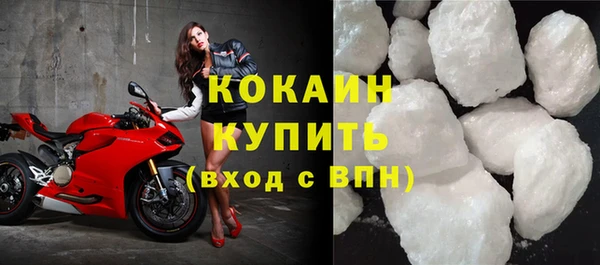 индика Верхний Тагил