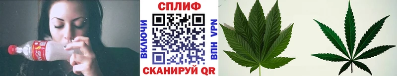 закладки  Каргополь  Шишки марихуана SATIVA & INDICA 